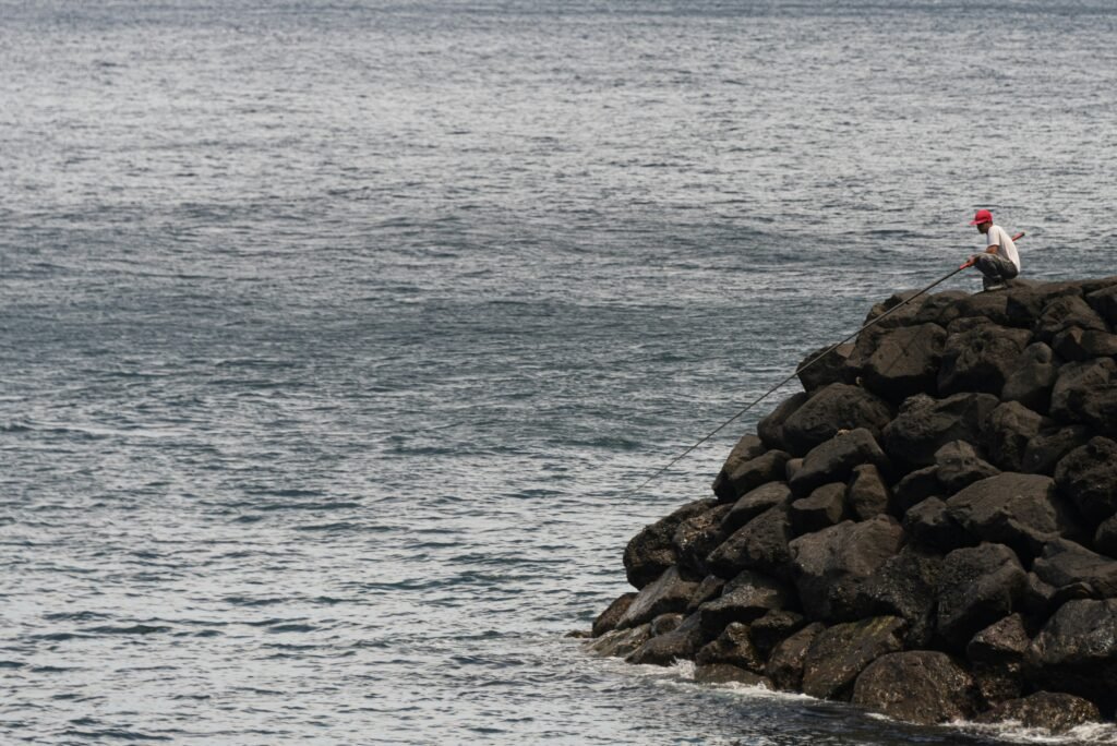 a bird sitting on top of a rock next to the ocean